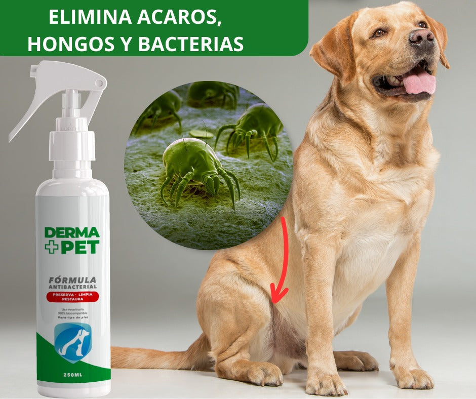 🐶🐱DermaPet™ Adiós Alergias+ Envio Gratis 🎁